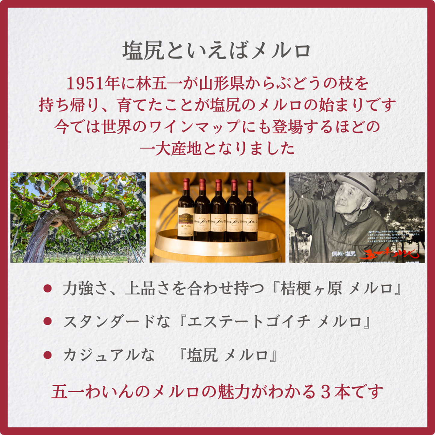 メルロ飲み比べセット