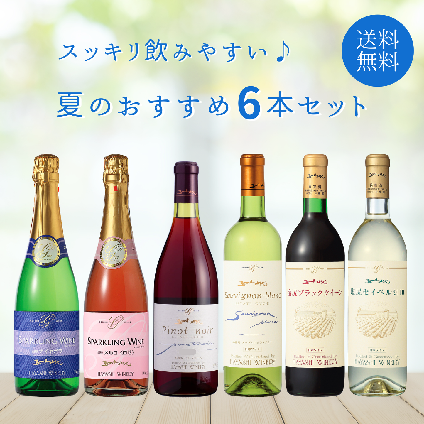 夏のおすすめ6本セット