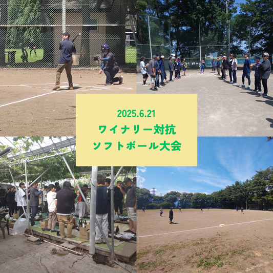 第33回ソフトボール大会
