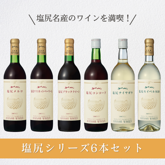 塩尻シリーズ６本セット