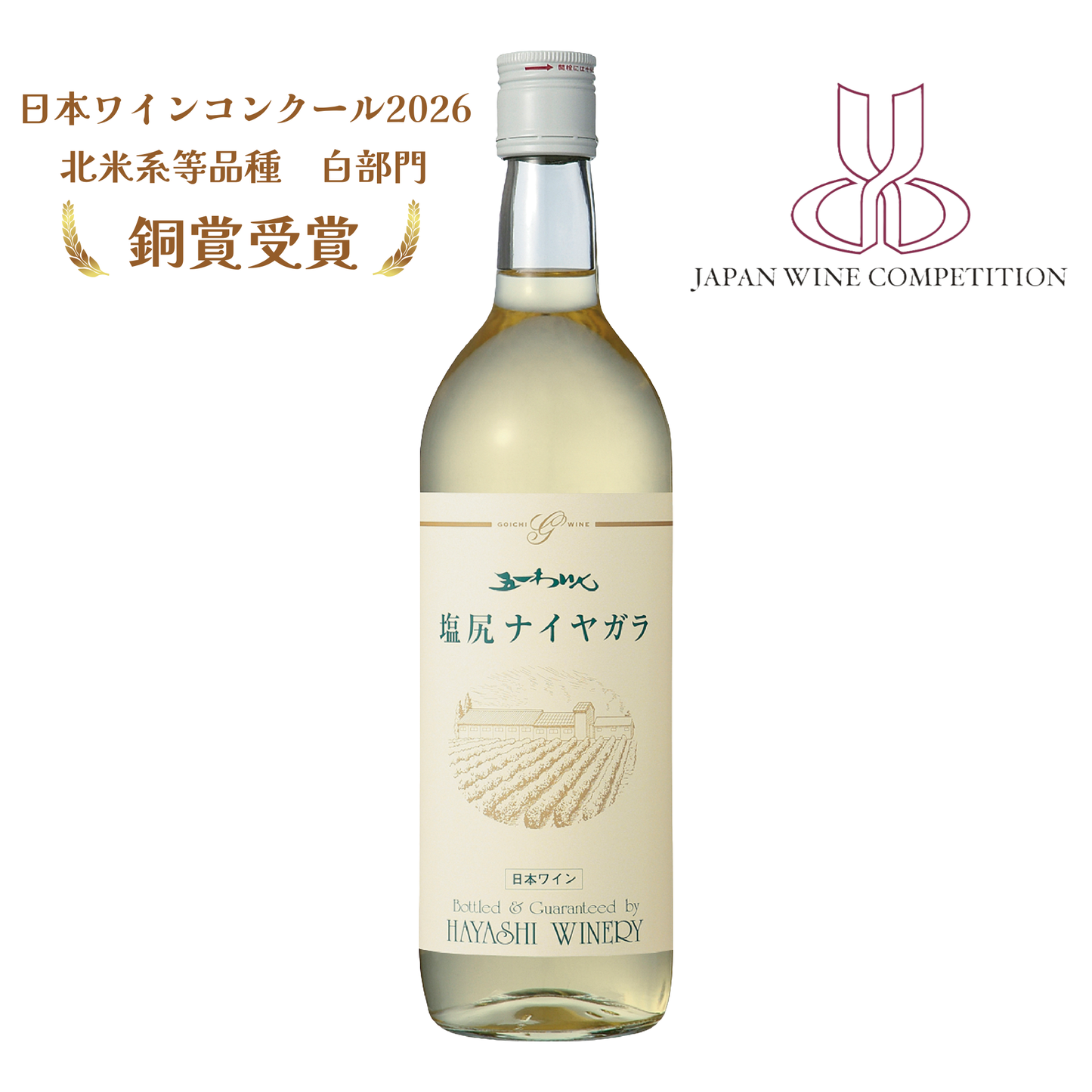 塩尻ナイヤガラ　2025