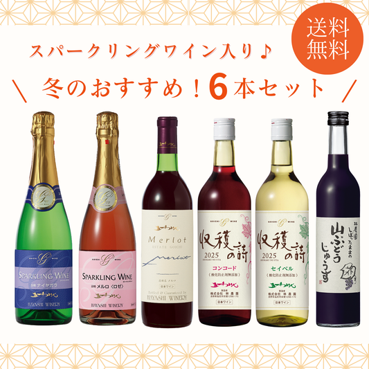 スパークリングワイン入り冬のおすすめ6本セット